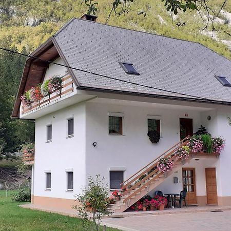 Apartma Pod Rozem Soca Exterior photo