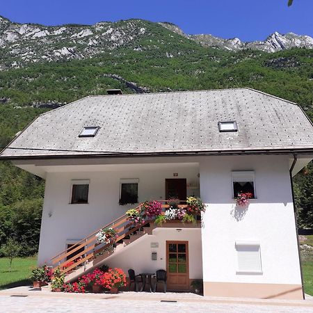 Apartma Pod Rozem Soca Exterior photo