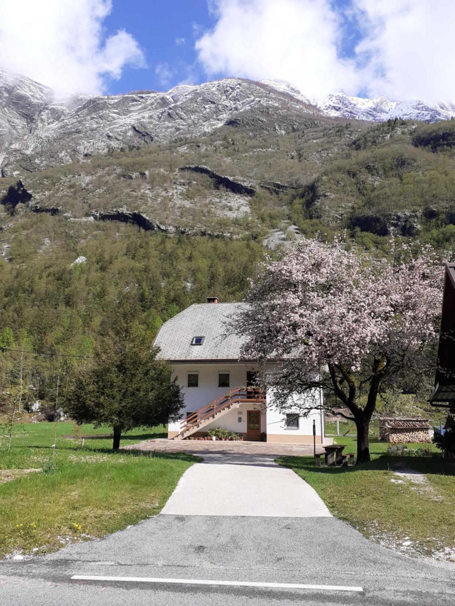 Apartma Pod Rozem Soca Exterior photo